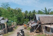 Puluhan Ribu Warga Donggala Masuk Kategori Miskin