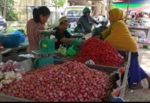 Dari Rp44 Ribu Jadi Rp38 Ribu: Harga Bawang Merah di Donggala Terjun Bebas