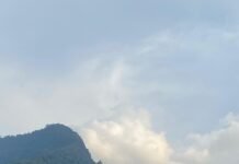 PN Poso Kabulkan Gugatan WALHI Sulteng, PT SEI, GNI, dan PT NNI Dinyatakan Cemari Lingkungan