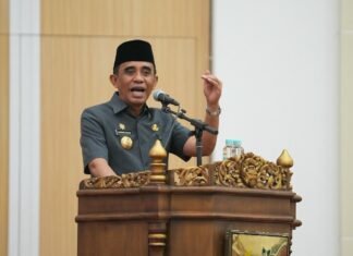 Ancaman Fiskal 2027, AH : PPPK Berpotensi Dirumahkan