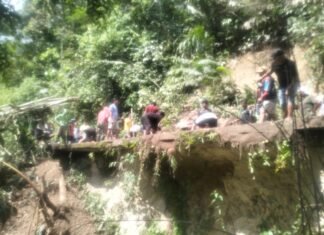 Banjir dan Longsor Terjang Desa Toro Sigi, 50 Hektar Sawah Terendam