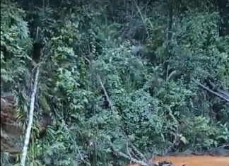 Diduga Tercemar Aktivitas Tambang, 28 Ribu KK di Petasia Kehilangan Akses Air Bersih