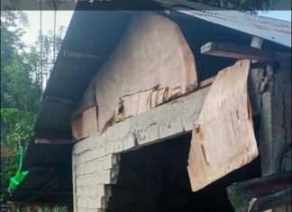 Tiga Rumah Roboh dan 12 Unit Rusak Berat di Poso