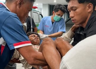 DPRD Minta Pemkot “Agresif’ Pantau Kondisi Pohon