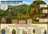 Produksi Durian Sulteng Anjlok 60 Persen