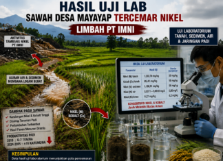 Uji Lab Unhas Temukan Kandungan Tinggi Nikel di Sawah Warga Mayayap