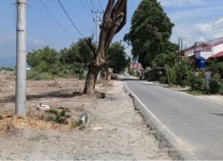 HGB PT Tehen Kasih Abadi Digugat