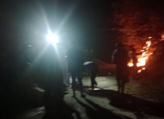 Kebakaran Hutan dan Lahan Sampai TNLL, Gubernur Turun Langsung